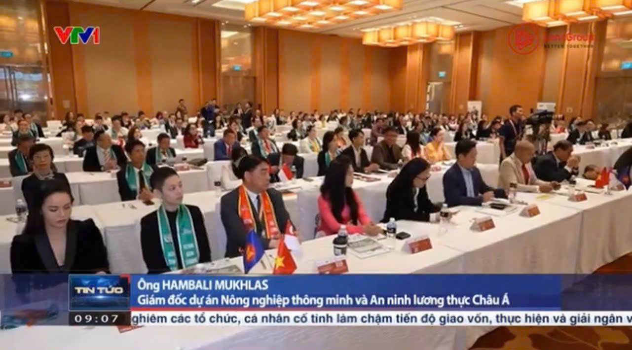 Liên minh IBF Việt Nam - Singapore